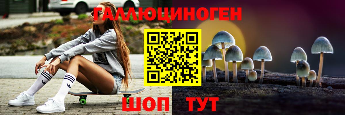 Псилоцибиновые грибы мицелий  Вход с VPN  Новочеркасск  Псилоцибиновые грибы Psilocybine cubensis 